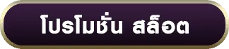 lvh66